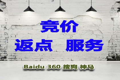 某某SEM公司助力企业快速发展的成功故事